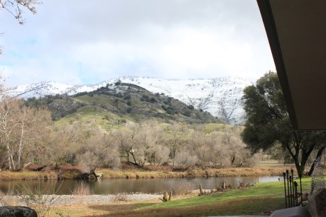 This Is the Day of the Herons